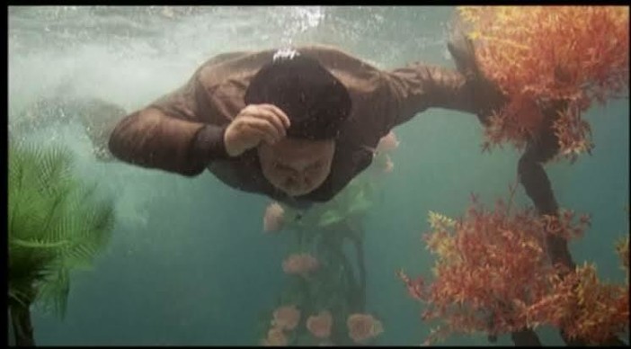 Corvo o cornacchia? Cronache fantozziane dalla Repubblica "democratica" di Imperia