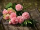 Come organizzare un funerale tradizionale con le onoranze funebri Mantova