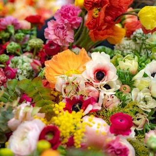 I  fiori stravincono la sfida di San Valentino tanto che saranno nelle mani di oltre un innamorato su due