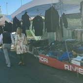 Il bosco urbano sul lungomare Vespucci minaccia le fiere cittadine di Imperia Il bosco urbano sul lungomare Vespucci minaccia le fiere cittadine di Imperia