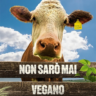 CINEMA: orari, trame e stellette dei film in programmazione oggi, martedì 20 maggio 2025