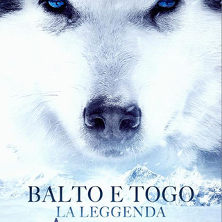 CINEMA: orari, trame e stellette dei film in programmazione oggi, giovedì 3 settembre