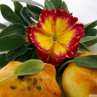 Fiori eduli: parte proprio dalla provincia di Imperia questa "rivoluzione alimentare"?
