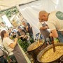 Un'immagine del Festival dello Stoccafisso di Badalucco, tra gli appuntamenti di punta del weekend nell'Imperiese Un'immagine del Festival dello Stoccafisso di Badalucco, tra gli appuntamenti di punta del weekend nell'Imperiese