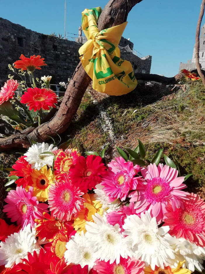 Florovivaismo: fiori in piazza per denunciare le pesanti ripercussioni causate dal covid-19 Florovivaismo: fiori in piazza per denunciare le pesanti ripercussioni causate dal covid-19
