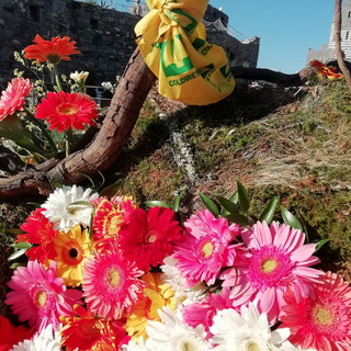 Florovivaismo: fiori in piazza per denunciare le pesanti ripercussioni causate dal covid-19 Florovivaismo: fiori in piazza per denunciare le pesanti ripercussioni causate dal covid-19