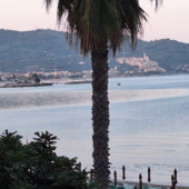 La foto del mare davanti a san'Anna diffusa sui social La foto del mare davanti a san'Anna diffusa sui social