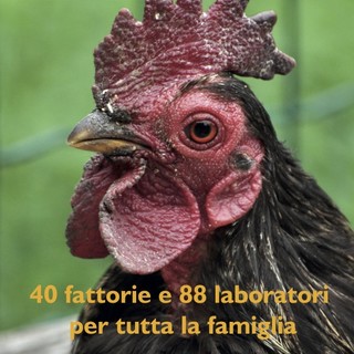 Fattorie aperte: l'educational in Liguria che porta buoni frutti, al via la 12ª edizione Fattorie aperte: l'educational in Liguria che porta buoni frutti, al via la 12ª edizione