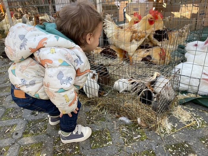 Fiera della Candelora a San Bartolomeo al Mare Fiera della Candelora a San Bartolomeo al Mare
