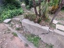 Degrado Giardini Winter,  la risposta dell’assessora D’Agostino all'interrogazione PD: "Interventi manutentivi continui"