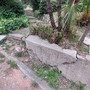 Degrado Giardini Winter,  la risposta dell’assessora D’Agostino all'interrogazione PD: &quot;Interventi manutentivi continui&quot;