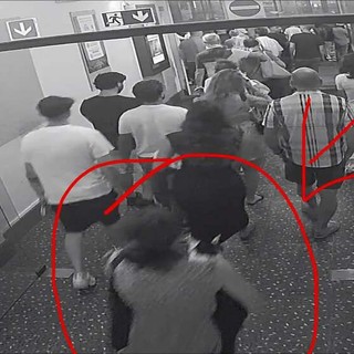 Dal Cinema Centrale di Imperia sparisce gatto malato, l'appello dei proprietari alla donna autrice del "furto"