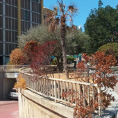 Giardini di piazza Rossini nel degrado, il Pd chiede interventi al Comune Giardini di piazza Rossini nel degrado, il Pd chiede interventi al Comune
