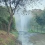 AL DIRETTORE. Emergenza acqua a Ronchi Brighei, Bracco: "I cittadini di Imperia non possono essere lasciati soli" AL DIRETTORE. Emergenza acqua a Ronchi Brighei, Bracco: "I cittadini di Imperia non possono essere lasciati soli"