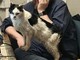 IL PUNTO. Gatto, la tragedia delle buone intenzioni IL PUNTO. Gatto, la tragedia delle buone intenzioni