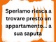 LA GRAFFIATA. Speriamo riesca a trovare presto un appartamento...a sua saputa