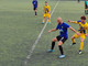 Calcio, l'Imperia raccoglie un solo punto in trasferta: sul campo della Voltrese finisce 0-0