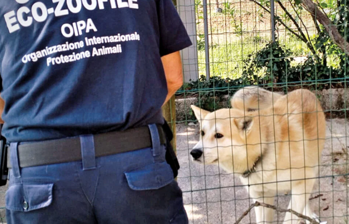 A Imperia si formano le nuove guardie zoofile