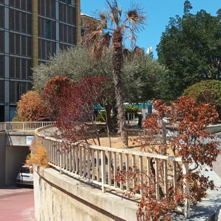 Giardini di piazza Rossini nel degrado, il Pd chiede interventi al Comune