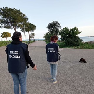 Guardie zoofile al Parco Urbano di Imperia, controlli serrati per evitare i maltrattamenti degli animali