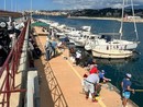 Pesca. Torna la storica Gara dei Pierini: Oneglia accoglie i piccoli pescatori Pesca. Torna la storica Gara dei Pierini: Oneglia accoglie i piccoli pescatori