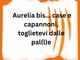 LA GRAFFIATA. Aurelia bis.... case e capannoni toglietevi dalle pa(l)le