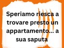 LA GRAFFIATA. Speriamo riesca a trovare presto un appartamento...a sua saputa LA GRAFFIATA. Speriamo riesca a trovare presto un appartamento...a sua saputa
