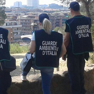 Segnalazioni di maltrattamenti animali e illeciti ambientali: nuovo servizio delle Guardie EcoZoofile di GADIT OdV