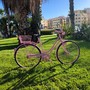 Imperia si prepara al Giro d’Italia: ecco tutte le modifiche alla viabilità