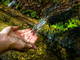 Goccia a Goccia”, un progetto transfrontaliero per preservare il consumo di acqua dolce