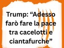 LA GRAFFIATA. Trump: "Adesso farò fare la pace tra cacelotti e ciantafurche"