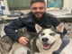 Sanremo: husky smarrito in corso Cavallotti, polizia cerca proprietari