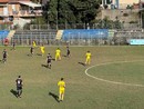 Calcio, serie D. Imperia-Cairese: scontro diretto per la salvezza al 'Ciccione' Calcio, serie D. Imperia-Cairese: scontro diretto per la salvezza al 'Ciccione'