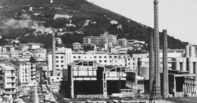 ACCADDE OGGI, 11 MAGGIO 1982. Viaggia in scooter su lungomare Vespucci e si scontra improvvisamente con un...elefante