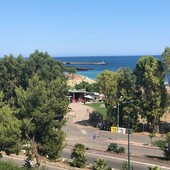 Imperia, parte la raccolta firme contro il bosco urbano sul lungomare Imperia, parte la raccolta firme contro il bosco urbano sul lungomare