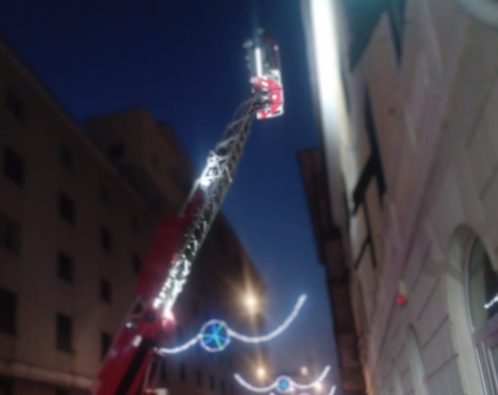 Intervento dei vigili del fuoco per un gabbiano incastrato su un’antenna in via Schiva