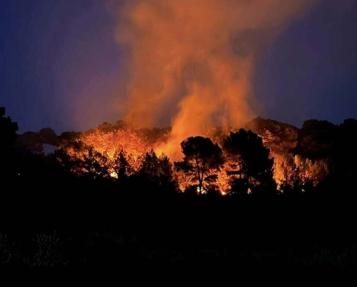 Incendi nell’Imperiese, ancora focolai nella notte: i vigili del fuoco tengono sotto controllo il fronte Incendi nell’Imperiese, ancora focolai nella notte: i vigili del fuoco tengono sotto controllo il fronte
