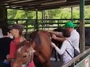 Una giornata di gioia e progressi per i ragazzi dell’Isah al Ranch di Montegrazie