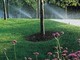 Da Mezzo pollice è tempo di irrigazione! Non solo idraulica ma anche giardinaggio e agricoltura