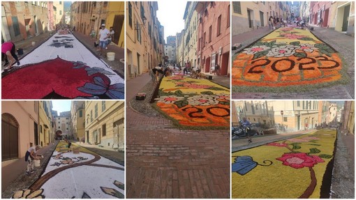 Infiorata del Corpus Domini di Imperia, una lunga distesa di petali in via Carducci Infiorata del Corpus Domini di Imperia, una lunga distesa di petali in via Carducci
