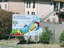 Imperia diventa 'Capitale della Dieta Mediterranea': nuovi cartelloni autostradali per promuovere la città Imperia diventa 'Capitale della Dieta Mediterranea': nuovi cartelloni autostradali per promuovere la città