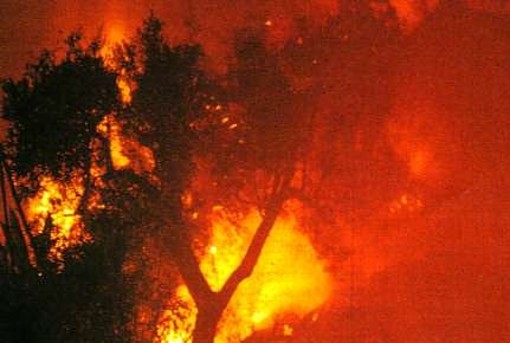 Prelà: incendio spento nel primo pomeriggio bruciata vasta porzione di vegetazione