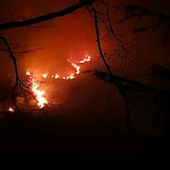 Emergenza incendi nell'entroterra di Imperia, focolai tra Aurigo e Prelà