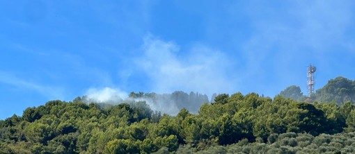 Incendio su Capo Berta: pineta e macchia mediterranea in fiamme