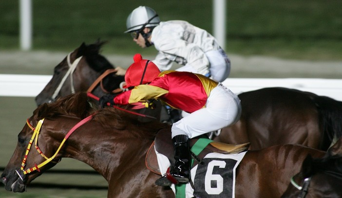 Un fine settimana diverso: scegli Varese con il “Gran Premio” dedicato all'ippica e le sue tante mostre e attrazioni Un fine settimana diverso: scegli Varese con il “Gran Premio” dedicato all'ippica e le sue tante mostre e attrazioni