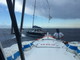 Week-end di ferragosto intenso per la nuova Motovedetta CP 882 della guardia costiera imperiese: dieci persone tratte in salvo