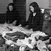 L'AMARCORD DEL SABATO.  Gennaio 1941: a Dolcedo gli scolari raccolgono le olive per comprare la lana che le alunne trasformeranno  in indumenti per i soldati in guerra