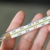 Stagione influenzale, Mela (Asl1): "Epidemia già in corso" Stagione influenzale, Mela (Asl1): "Epidemia già in corso"