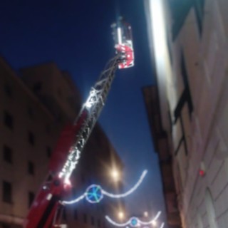 Intervento dei vigili del fuoco per un gabbiano incastrato su un’antenna in via Schiva Intervento dei vigili del fuoco per un gabbiano incastrato su un’antenna in via Schiva