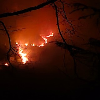 Ancora fiamme nei boschi attorno a Diano San Pietro